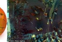 Quả bóng camera cho phép bạn chụp ảnh 360 độ