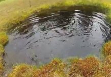 Cách xác định phương hướng chỉ qua một vũng nước