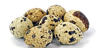 Trứng cút - Thuốc bổ quý