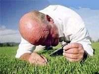 Người cầu toàn dễ bị stress