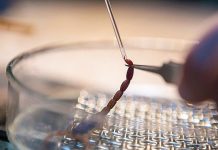 7 chất lỏng đắt đỏ nhất hành tinh