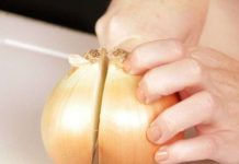 Loại hành không cay mắt đầu tiên trên thế giới