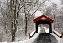 Giải mã bí ẩn về cây cầu vọng tiếng trẻ con khóc giữa đêm