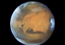 Vi sinh vật Trái đất có thể sống trên sao Hỏa