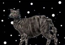 Truyền thuyết về những ác quỷ trong lễ Giáng sinh