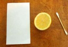 Bí mật thư "tàng hình" của các điệp viên