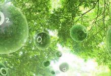 Phát triển vật liệu đơn giản, giá rẻ cho quá trình "quang hợp nhân tạo"