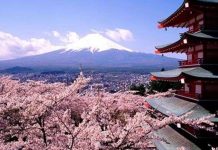 Bất ngờ thú vị về “họ” của người Nhật