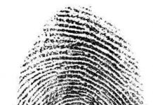 Dấu vân tay chưa hẳn là bằng chứng xác thực
