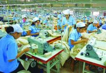 Công nghệ mới rút sợi từ tảo phục vụ cho ngành dệt may