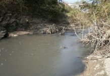 Cá chết hàng loạt trên sông Sêrêpốk