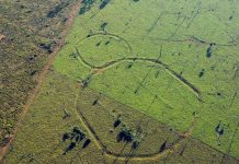 Giải mã những hình thù bí ẩn tại vùng rừng Amazon