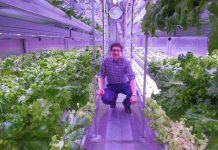 Vườn thủy canh, giải pháp cho tình trạng thiếu lương thực ở Bắc Cực