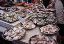 Tại sao cá thối lại “nặng mùi” hơn thịt?