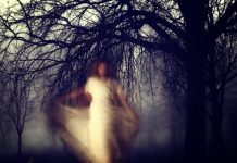 Tìm hiểu về linh hồn dưới góc nhìn khoa học