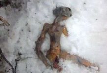 Clip người ngoài hành tinh ở Nga là rởm?