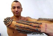 5 kỷ lục lạ kỳ nhất trong Sách Guinness