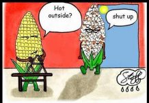 Tại sao nhiệt độ cơ thể ta là 37 độ C, nhưng ta vẫn thấy nóng khi nhiệt độ ngoài trời cũng là 37 độ C?