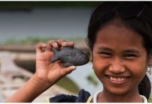 Tìm hiểu về con cá bằng sắt Lucky Fish giúp ngăn ngừa thiếu máu