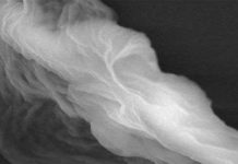 Phát hiện ra “hạt ma” – Một dạng sống kỳ lạ ngoài vũ trụ Phát hiện ra "hạt ma" - Một dạng sống kỳ lạ ngoài vũ trụ