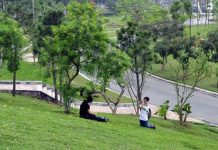 Muốn hạnh phúc, hãy sống gần công viên, cây xanh