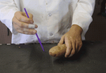 Mẹo nhỏ giúp bạn cắm ống hút mỏng manh xuyên qua củ khoai tây