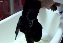 Công nghệ cho phép con người thở dưới nước