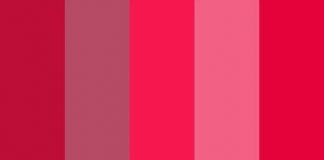 Não chúng ta phân biệt màu sắc rất tệ