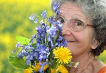 Tại sao khứu giác có thể giúp khôi phục trí nhớ?