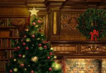 Nguồn gốc và ý nghĩa của cây thông Noel