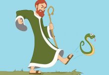 Tin vui cho những người sợ rắn: Chúng ta được tiến hóa để sợ rắn