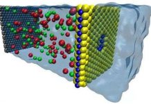 Nước muối có thể tạo ra lượng điện năng gấp 1.000 lần pin Mặt Trời