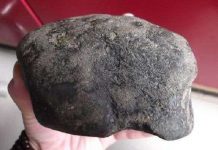 Lão nông dùng ngọc bích chục tỷ để… muối dưa