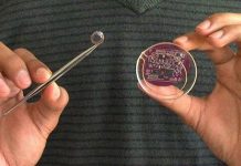 Kính áp tròng "trò chuyện" với smartphone, smartwatch qua wifi