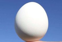 5 quan niệm sai lầm phổ biến về Trái Đất