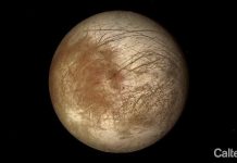 Các nhà khoa học tạo ra kính hiển vi ba chiều để tìm người ngoài hành tinh