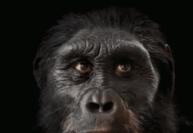 12 bức hình cho thấy thế giới khoa học tuyệt diệu đến mức nào