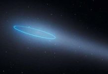 Phát hiện ra một cặp tiểu hành tinh có thế tiết lộ “bí mật” về Hệ Mặt trời Phát hiện ra một cặp tiểu hành tinh có thế tiết lộ “bí mật” về Hệ Mặt trời