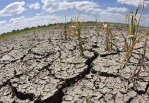 Loại nhựa tổng hợp mới giúp đất đai màu mỡ hơn