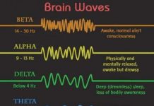 Sóng Gamma và nguồn gốc của những ý tưởng đột phá