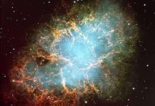 Nữ sinh tiểu học phát hiện vụ nổ của siêu sao Nữ sinh tiểu học phát hiện vụ nổ của siêu sao