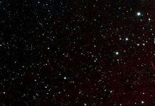 Tàu NEOWISE gửi về sau khi bắt đầu sứ mạng mới