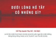 Dưới lòng Hồ Tây có những gì?