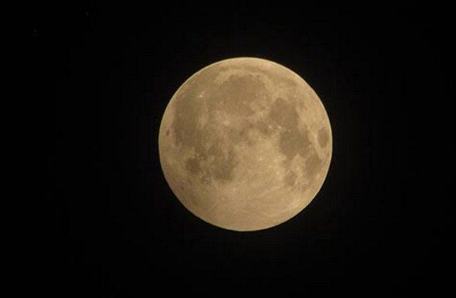 Phát hiện vật thể lạ trong ảnh “gấu ăn trăng” ở Hà Nội