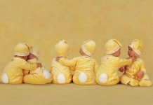 Có hay không thiên tài bẩm sinh?