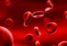 Kính hiển vi siêu tốc