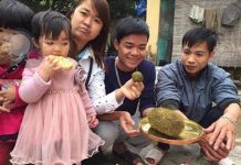 Mổ lợn 2 tạ phát hiện vật thể lạ nghi “cát lợn”