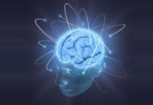 Nguồn gốc tiến hóa của trí thông minh