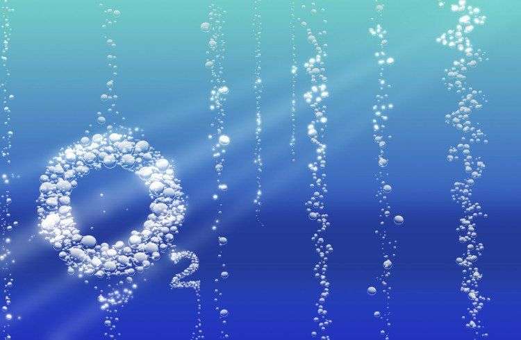 Thêm 1 giả thuyết mới về nơi Trái Đất – khi sự sống bắt đầu