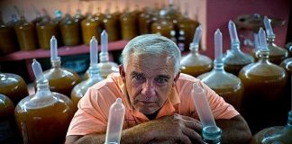 Nông dân Cuba dùng bao cao su để ngâm rượu trái cây